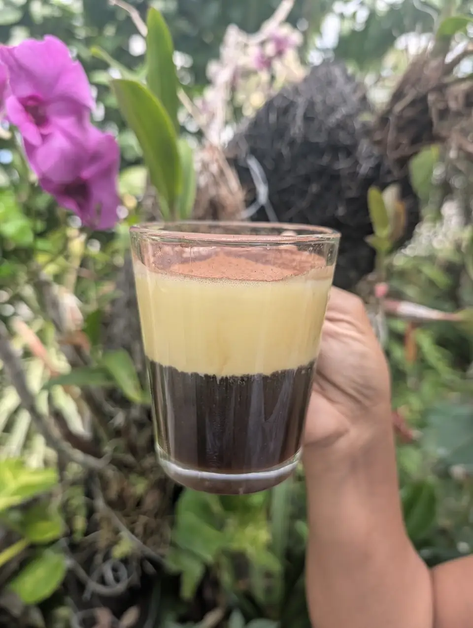 A hand holding a layered dark coffee with pale foam in front of tropical flowers